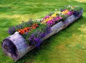  「花盆」15个美丽的DIY花盆，只要有孔都能做容器了呢