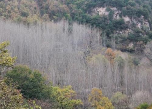 山西这几处景点绝对值得你去，不是平遥古城，也不是五台山