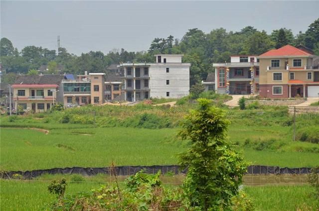 农村“新四害”接替“旧四害”，更让农民头疼，你们村子里有吗