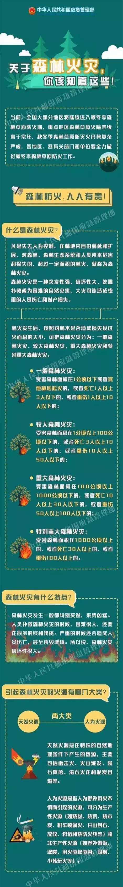 消防科普：图解森林火灾，你想知道的都在这里！