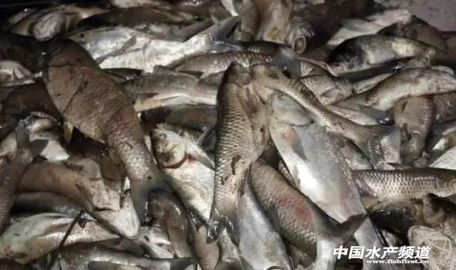 要热到40-45℃？！高温热害席卷22省