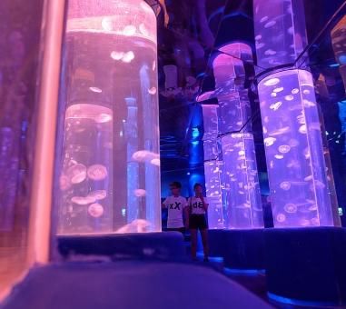 全国最良心的旅游大省，冬天20度，美食超多，因不宰客名扬天下！