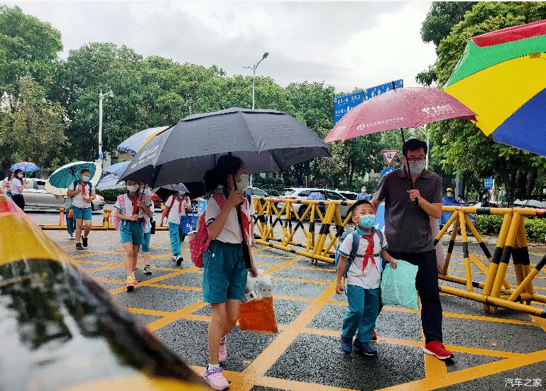 #树冠#惊险！中山10米高大树暴雨中倒下，摩托车和电动车被砸！