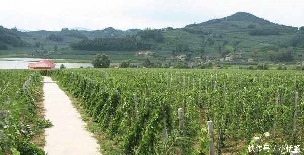 农村新怪象：有地不种，有房不住，有车不开，有钱不花，村村都有