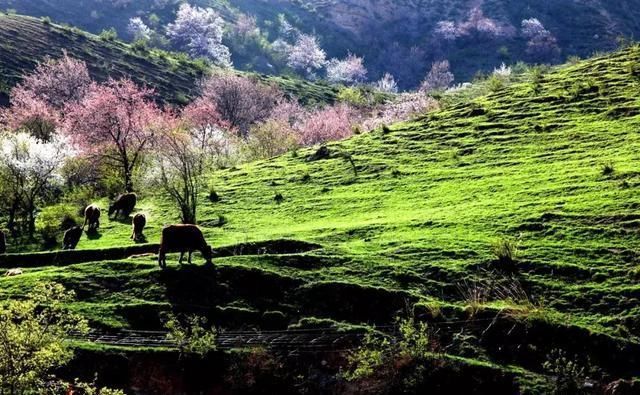这几个地方景色太美还免费，网友大呼：辞职也要去看看