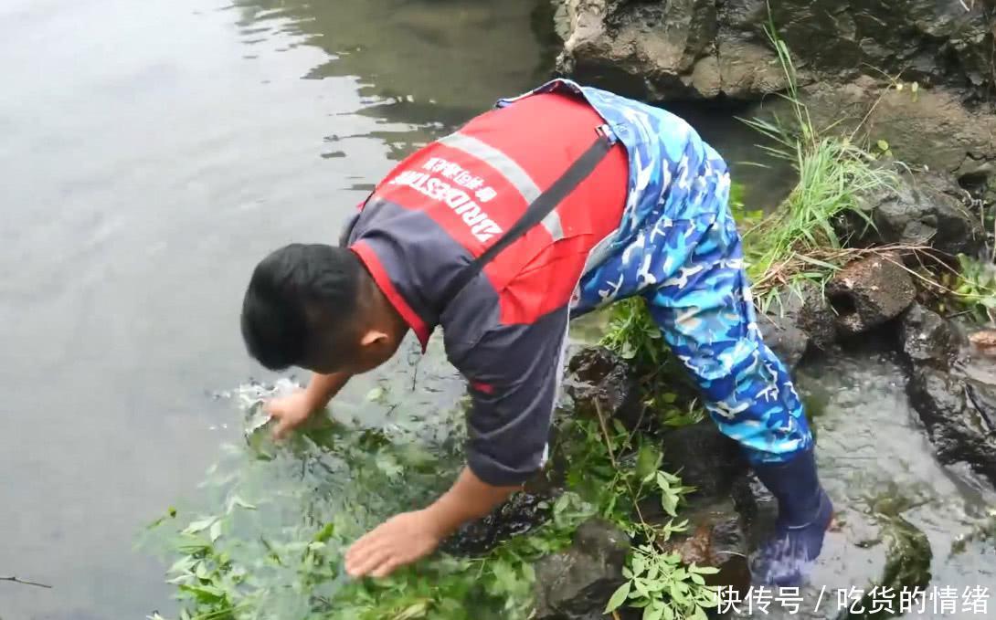 几十米的河道被小伙截流了，在里面肆无忌惮地抓野味，收获几十只