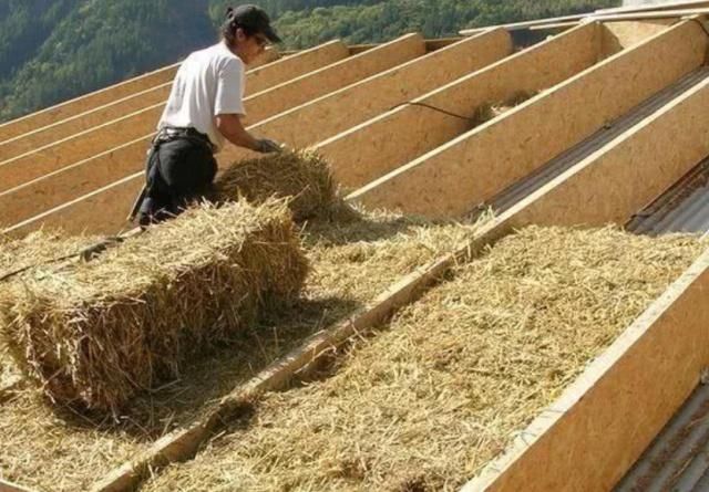  [火了]稻草房在国外火了，冬暖夏凉不比别墅差！网友：回农村盖