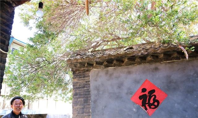 80岁农民宫大爷家里，有棵7米多高300年的黄杨树，你看能值多少钱
