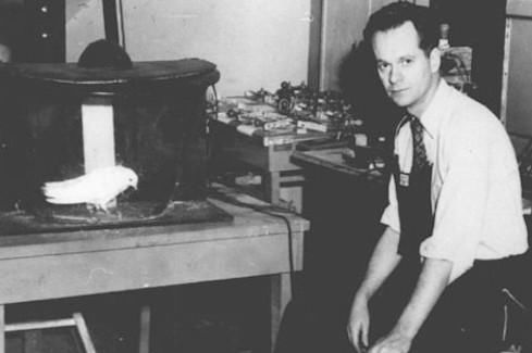 他揭开了迷信的心理机制，却无法破除自己被传虐童的谣言迷信