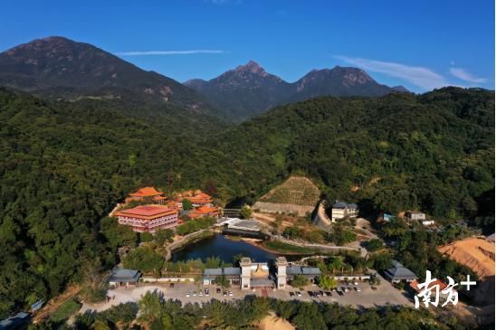  把脉：王志纲把脉佛冈全域旅游：打造大湾区“箱根”
