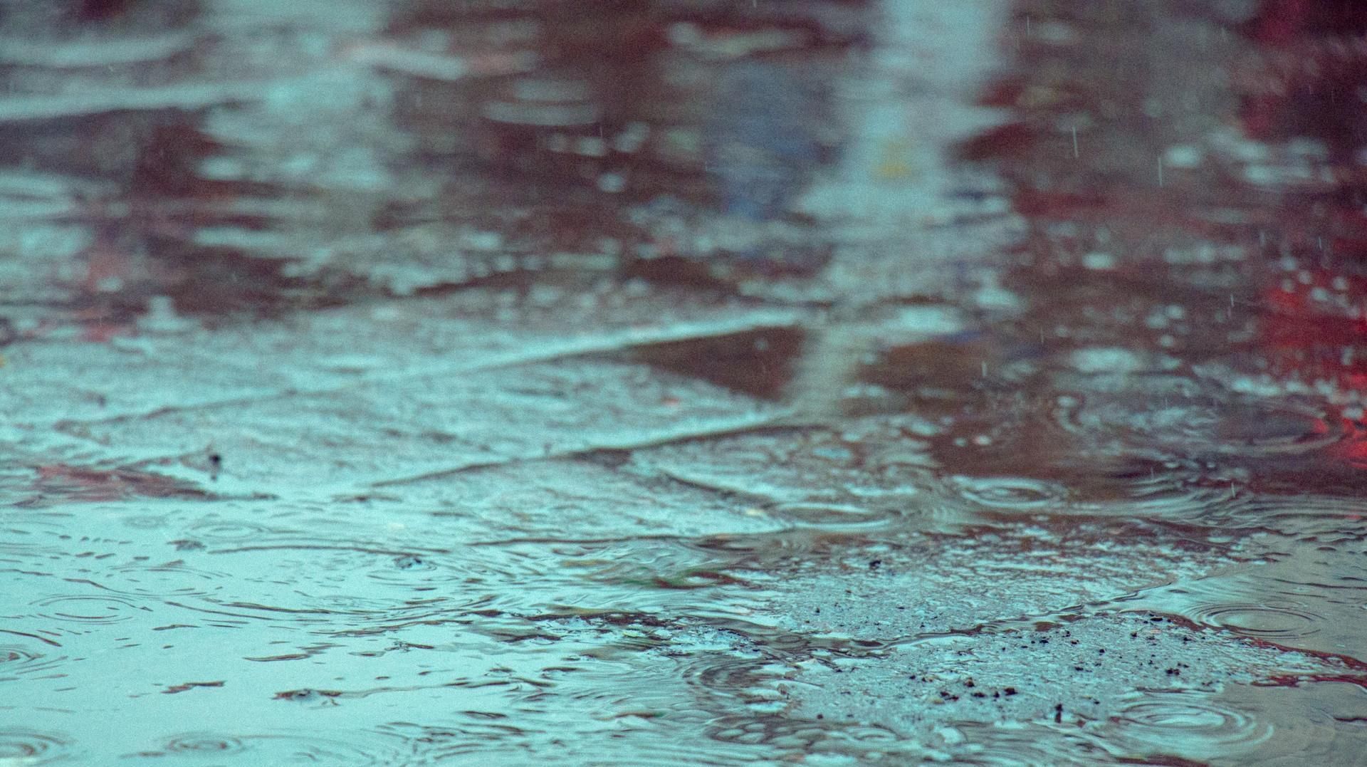  『雨点将画面晕染成』一场春雨一场暖，春雨怎么拍才有味这些作品给你灵感