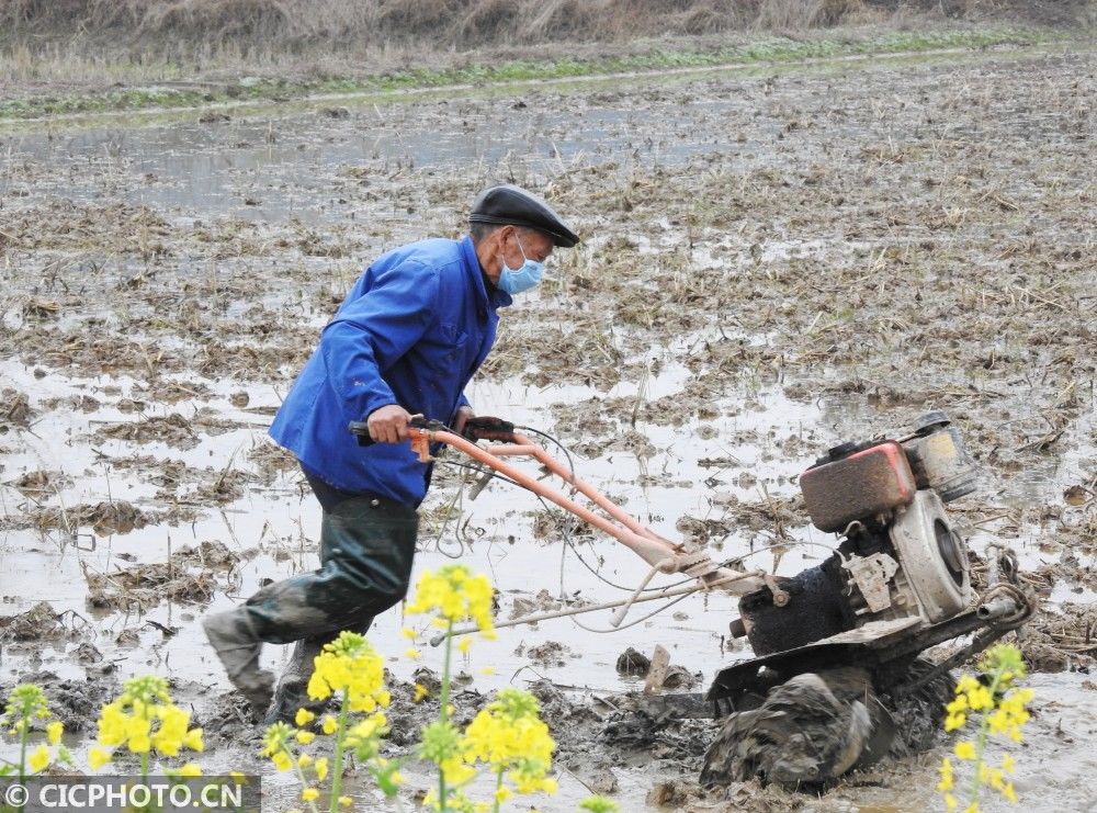  山东省|防疫不误农时 全国各地奏响春天“交响曲”