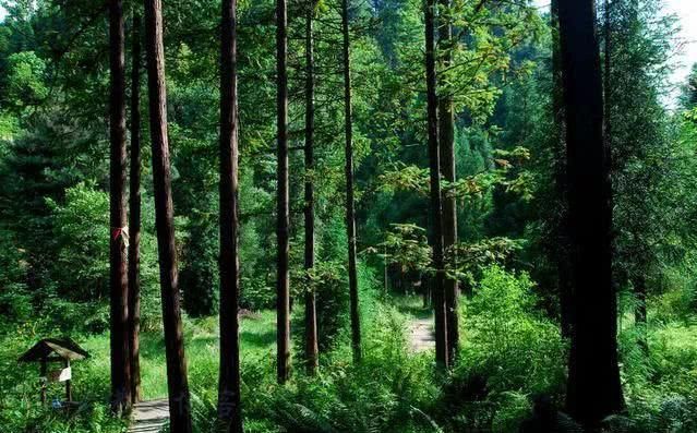 中国第一条旅游高铁——成贵铁路