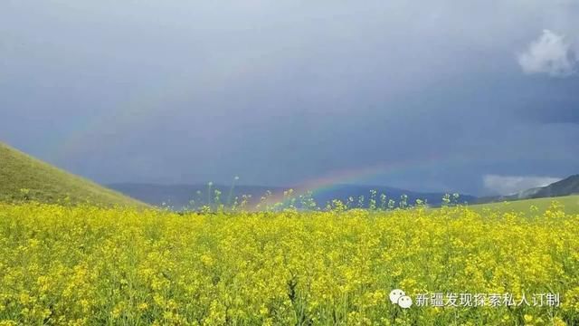 去了北疆才知道，中国有多大；去了南疆才知道，中国有多美