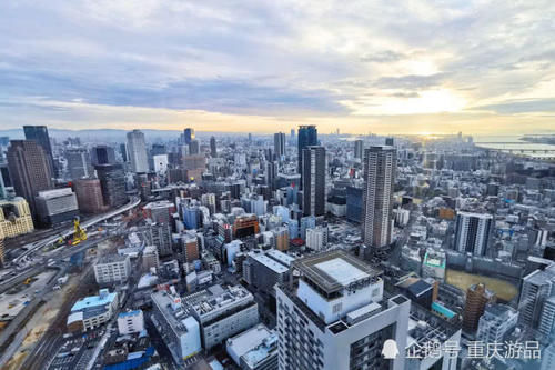  攻略：日本富士山游玩攻略：一天时间玩遍4大景点，不让你走冤枉路