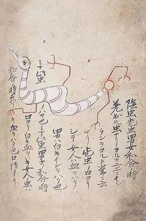 阴虫,男女交合的时候会出来的虫.emmm,那不就是