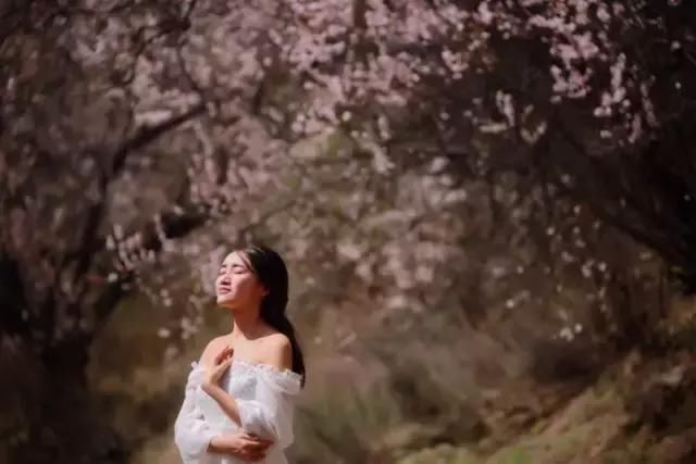 2019年，去林芝看桃花！