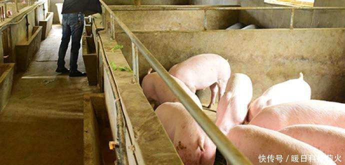  【重申】国家重申，“禁养区”范围再明确，除6大区域外，其他可