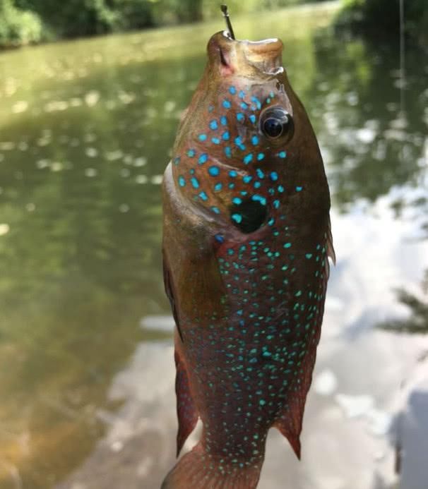  『鱼都钓不到』钓不到鱼就怪资源不好？之所以十钓九空，其实是这些原因造成的