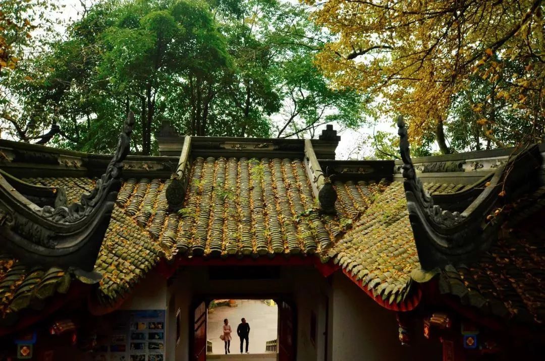 四川这座小城，叫板稻城亚丁，不输江南，藏着亚洲第一云海，高铁