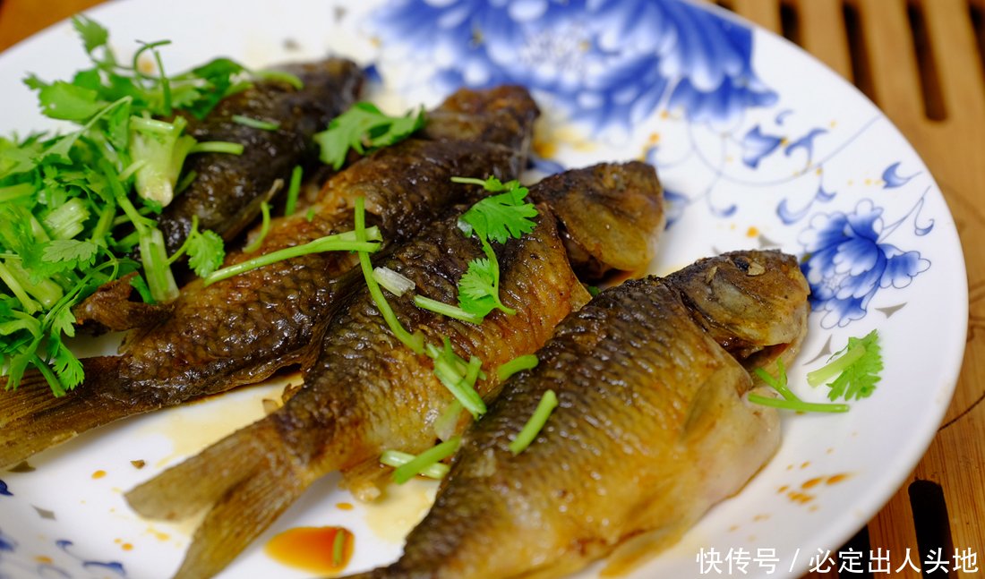  「稻田」当年非常火的禾花鱼，在稻田就能养殖，为什么现在却销