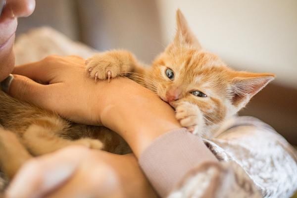  知识■世界红十字日丨中暑、烫伤……这些必备急救知识你会吗？