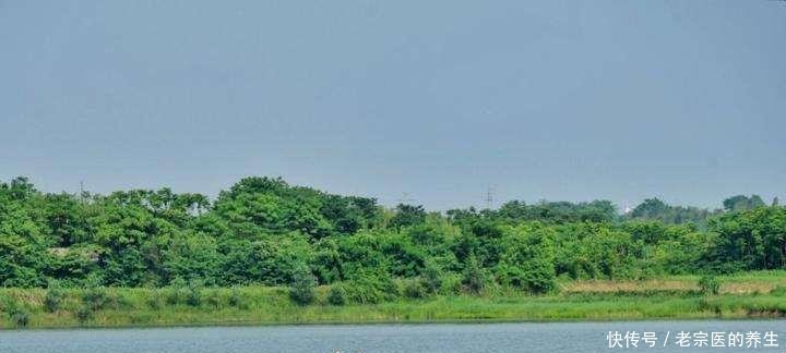 湖南省第二大淡水湖,面积达3840公顷,旅游资源堪比洞庭湖!