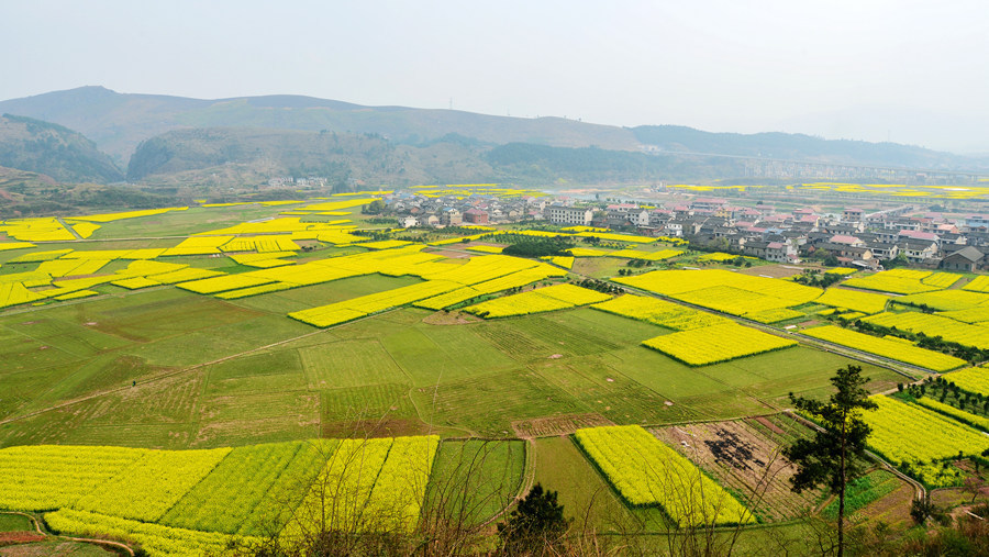 世界性价比最高旅游十佳城市,湖南上榜!网友:厉害了我的国!