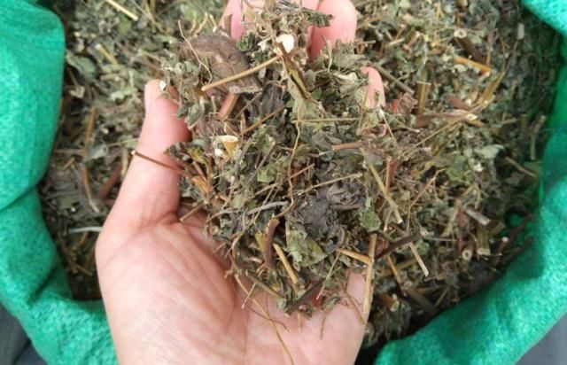  「喜欢」农村一种喜欢粘人的野草，人称“豨签草”，却是祛风湿