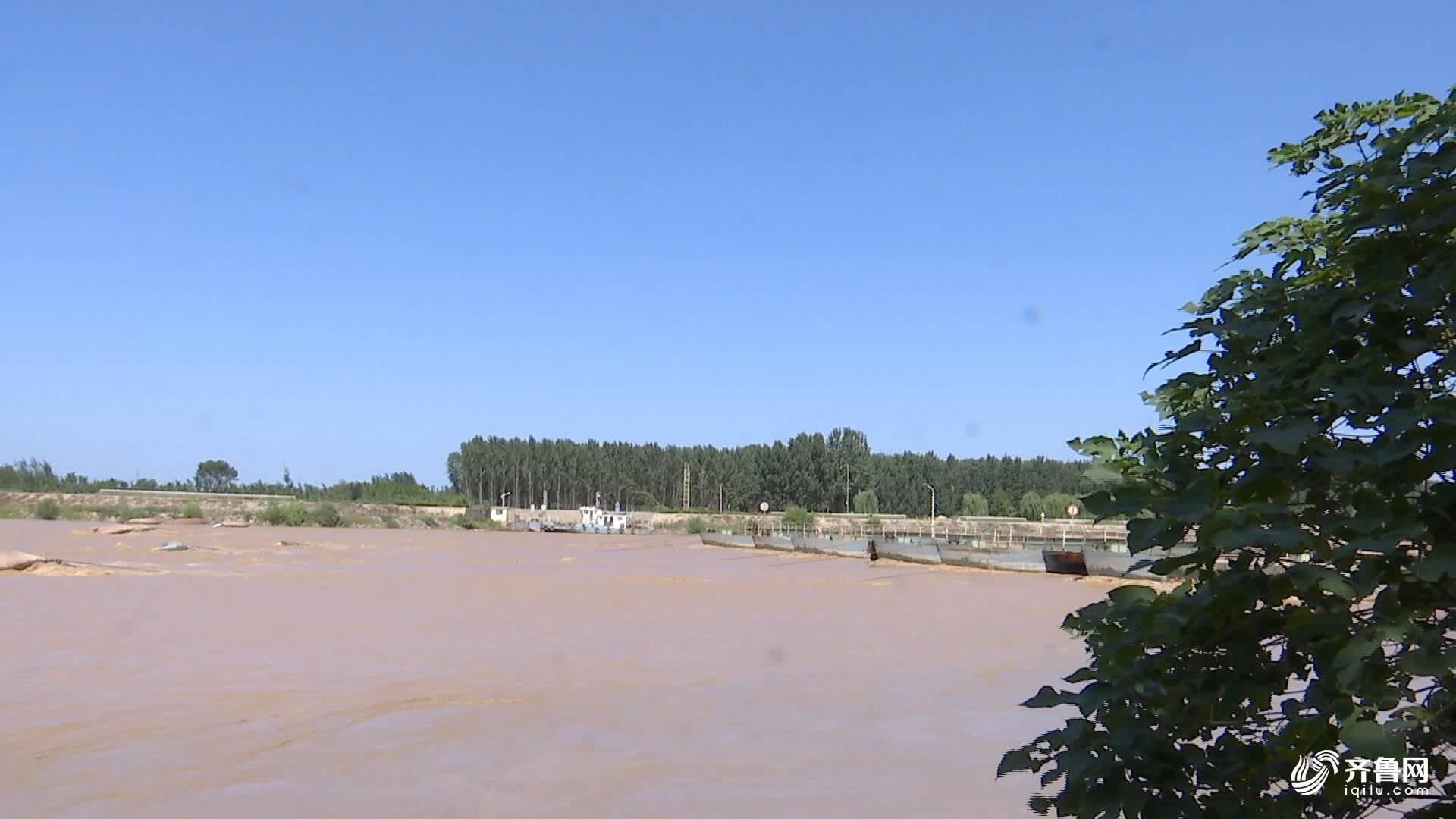  「黄河浮桥」黄河后汛期来袭，山东境内54处黄河浮桥今日全部拆
