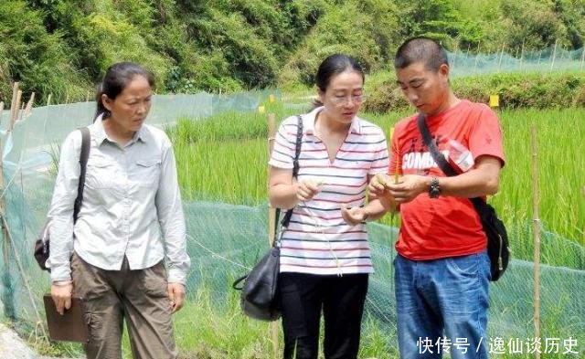 袁隆平共有3个儿子都很有出息，其中小儿子做的事让人赞叹不已！