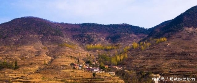 山东2个面积比最小地级市还大的县市