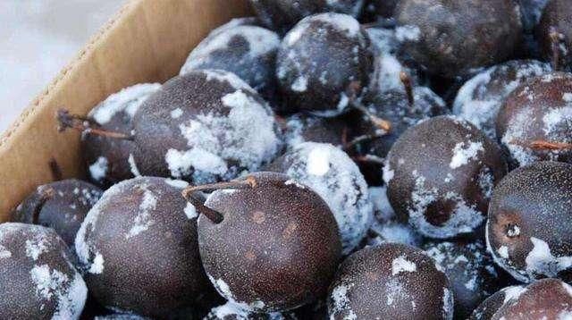  [不难]为何东北三省的人都自称东北人，而不单说“省份”？实际不难猜！