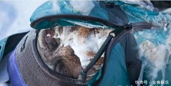 如果人在珠穆朗玛峰遇险，遗体70年后有幸被发现，会变成啥样