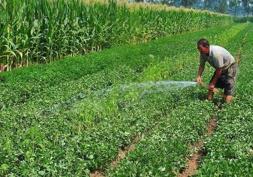 未来5年，农村4类人越过越穷，很难富起来，不少农二代“中招”