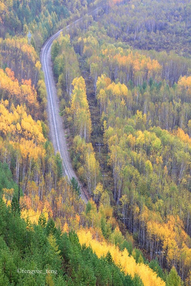 大兴安岭特大火灾澳洲火灾