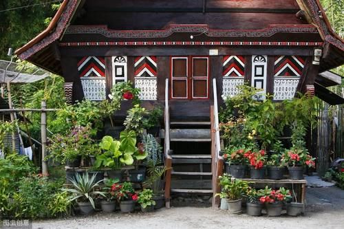  【盆栽】创业不要盲目，五个适合一般人的小生意，努努力就能学