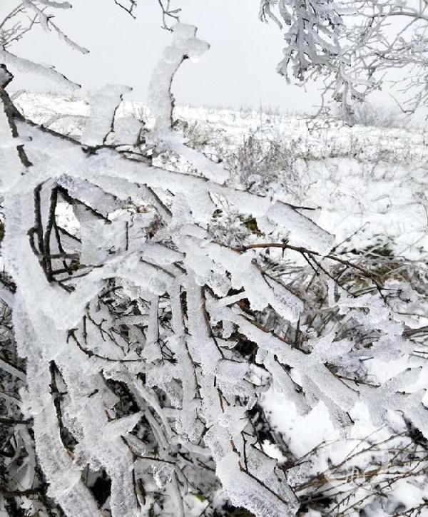  「哇塞」哇塞！重庆2019年第一场雪来了 城口喜降瑞雪