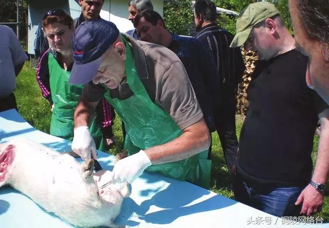 芜湖男子编造“非洲猪瘟疫情”谣言被拘5日