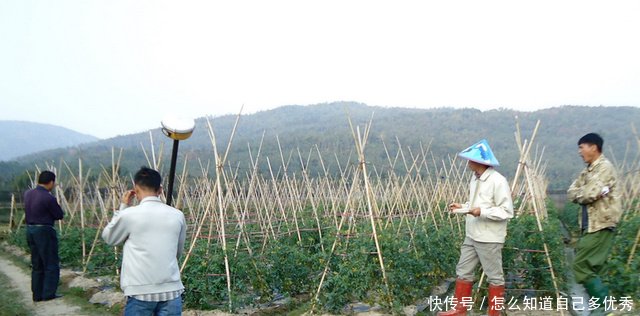 无地农民看过来，2027年能否重新分得土地终于有答案了！