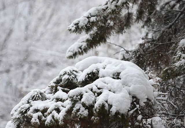  冷空气■连破纪录，17级博罗依C字大转弯，冷空气东移引发东北第