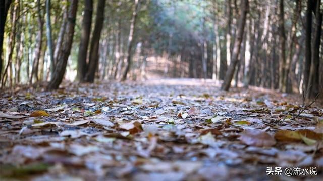 听山水品美食,细数小城里的惬意慢时光