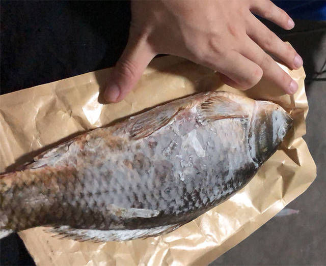  闹窝的情况■奔着四斤大鲫鱼去的，却被小鲫鱼闹窝，怎么才能避免这种情况？