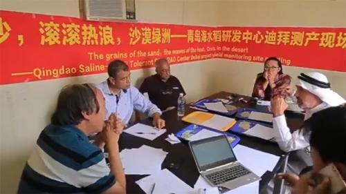 迪拜请中国种水稻，引世界瞩目，外媒：不可能！