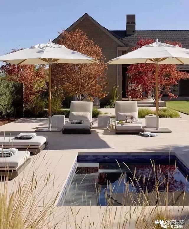 还是不会选择庭院的最佳景观焦点吗?我想你会需要这些