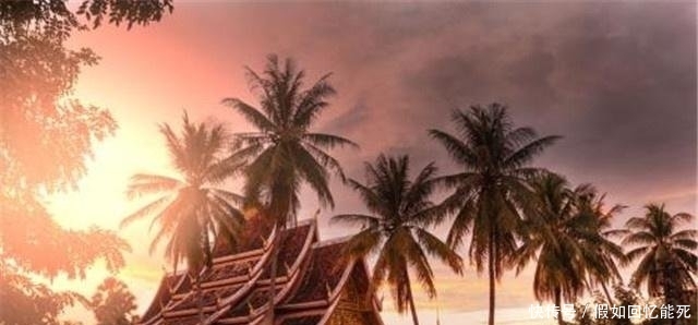 泰国人评价外来游客韩国人爱占便宜，日本人懂礼貌，中国人2字