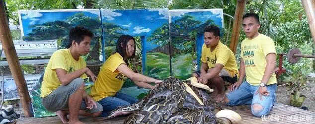 女子到动物园参观, 被一条巨蟒直接缠住, 吓得当