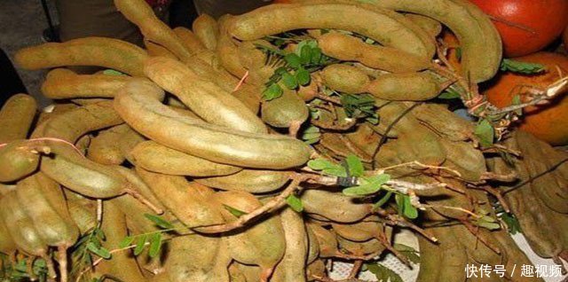 农村一种罕见的野果，10年才结一次果，你吃过吗