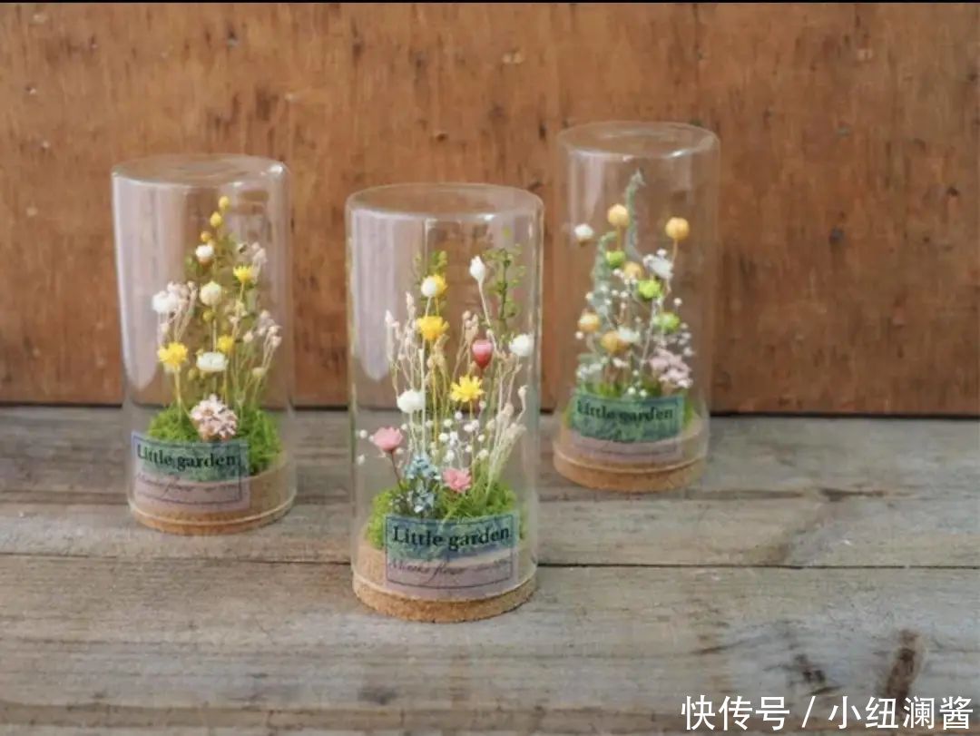  『小资』日本留学感受日系小资