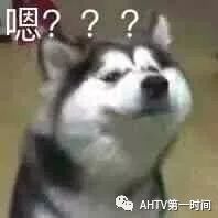 乘客吵得不可开交!司机停车说了一句话,整辆车都安静了